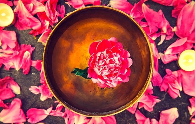 Photo of a bowl with a flower inside the middle, sitting on other petals