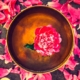 Photo of a bowl with a flower inside the middle, sitting on other petals